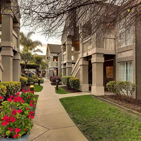 Sonesta Es Suites San Jose - Airport-2